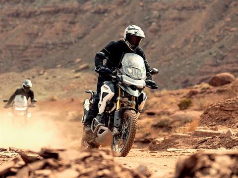 2025 Triumph Tiger 1200 Rally Pro in Manchester, New Hampshire - Photo 15