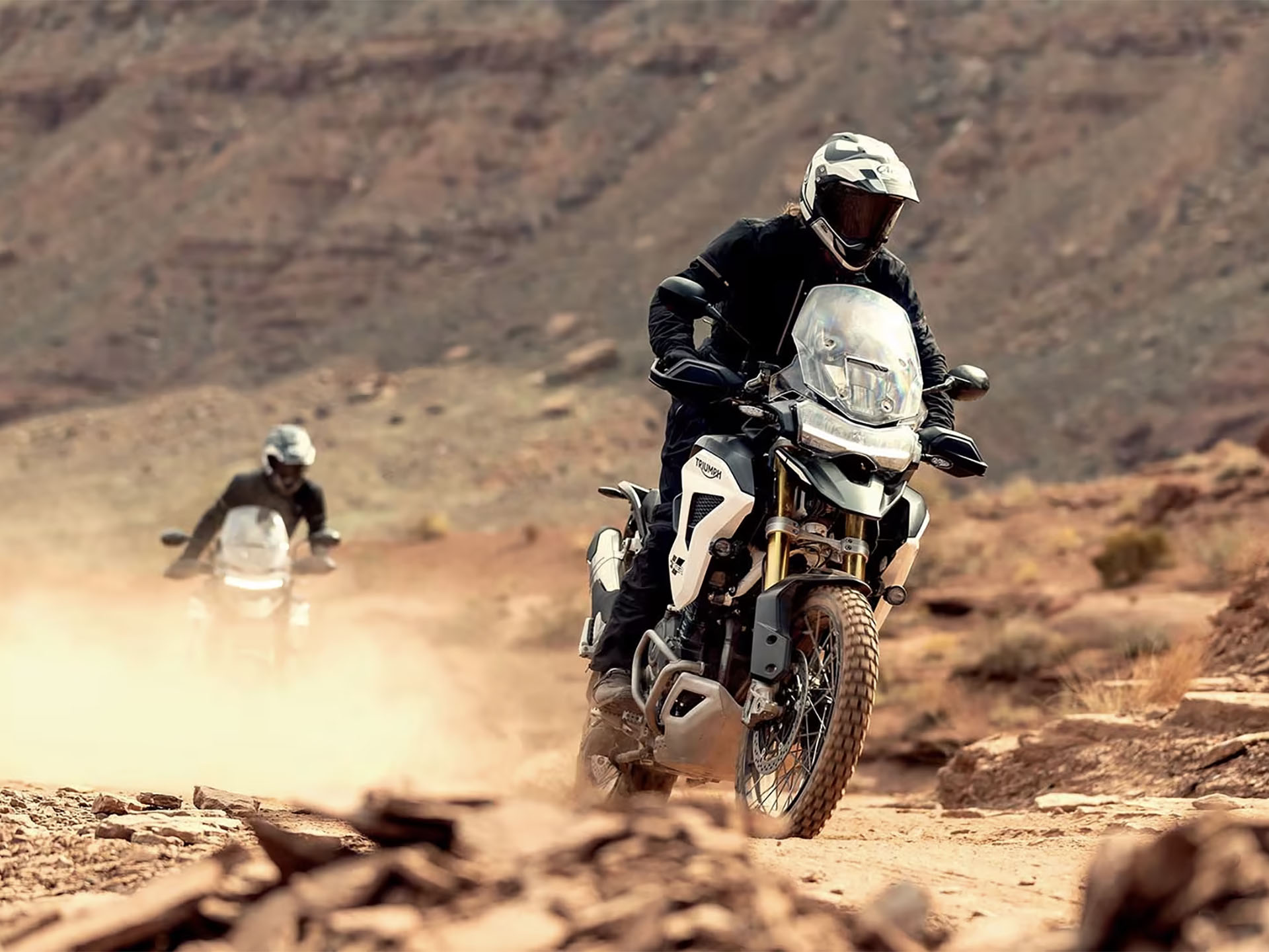 2025 Triumph Tiger 1200 Rally Pro in Enfield, Connecticut - Photo 15