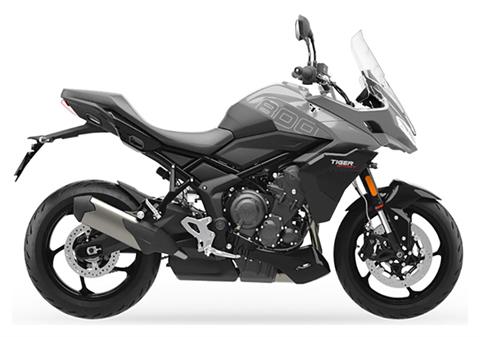 2025 Triumph Tiger Sport 800 in Foxboro, Massachusetts