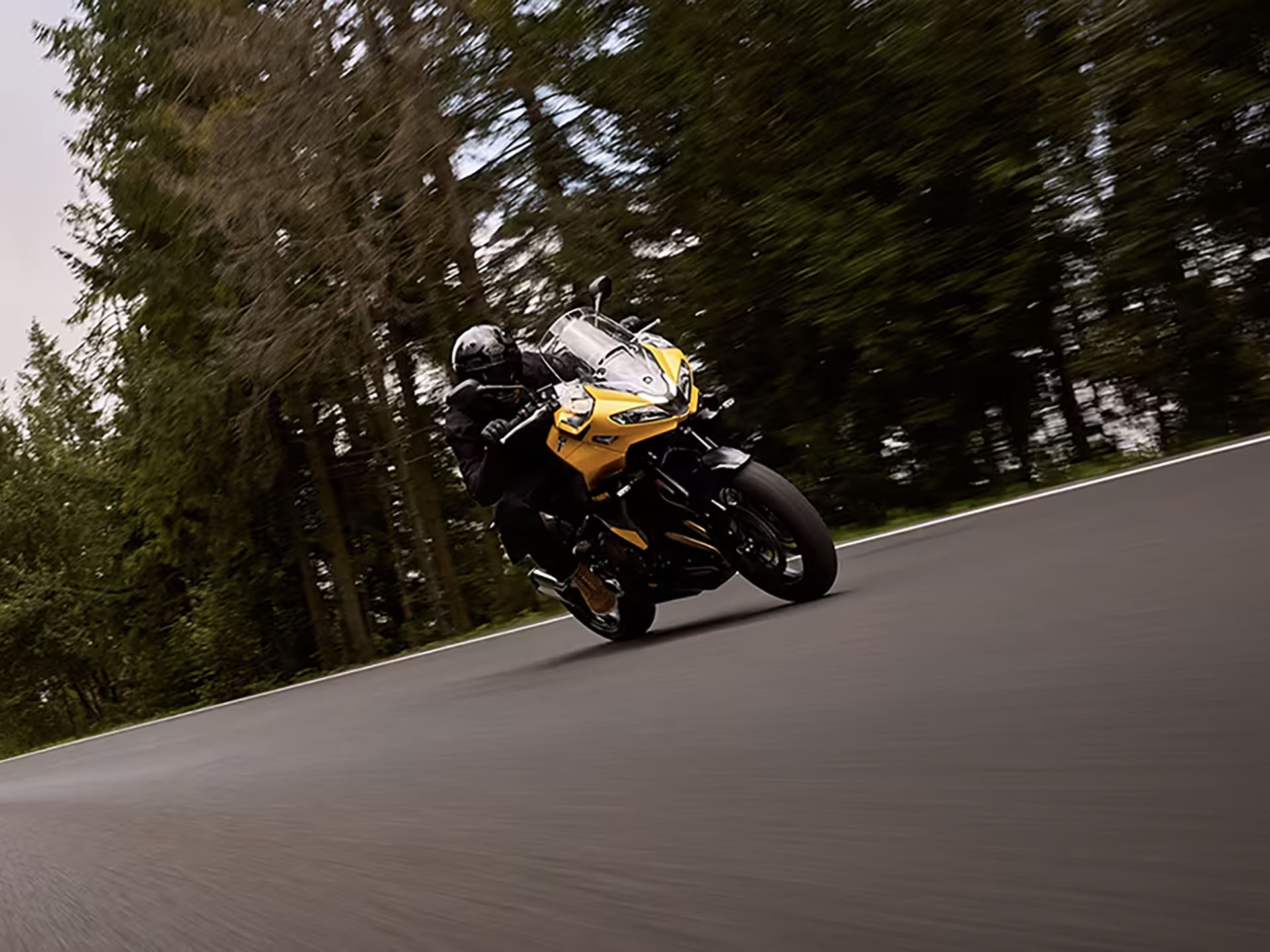 2025 Triumph Tiger Sport 800 in Manchester, New Hampshire - Photo 13