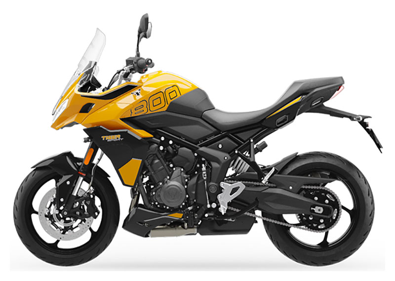 2025 Triumph Tiger Sport 800 in Foxboro, Massachusetts - Photo 2