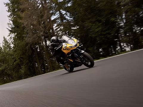 2025 Triumph Tiger Sport 800 in Enfield, Connecticut - Photo 13