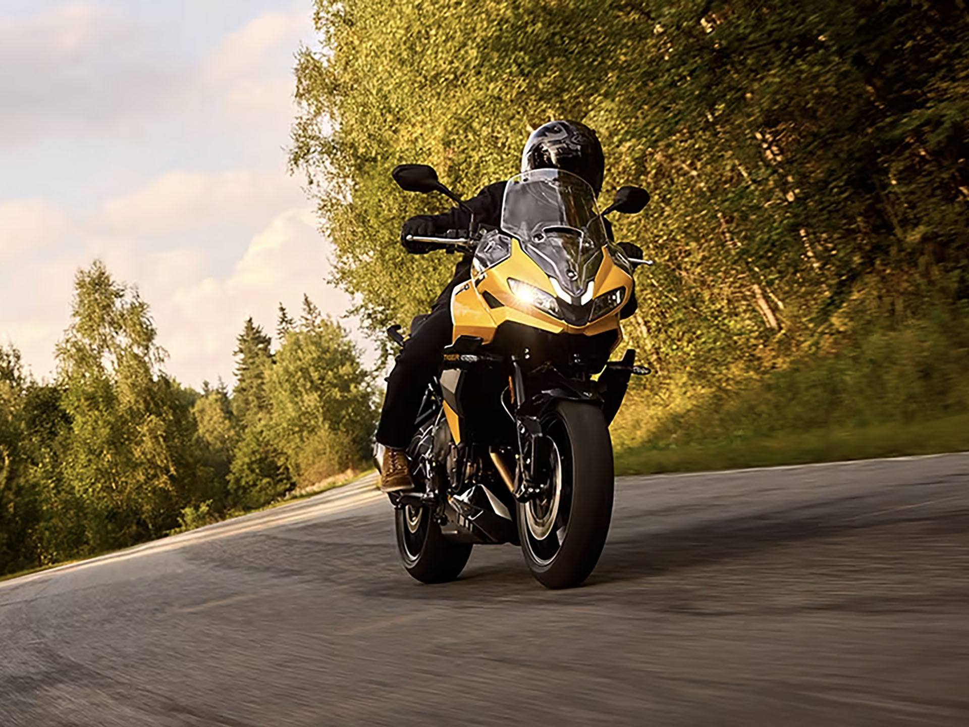 2025 Triumph Tiger Sport 800 in Enfield, Connecticut - Photo 15
