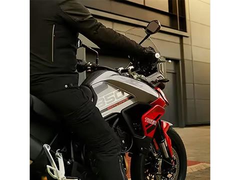 2025 Triumph Tiger 850 Sport in Manchester, New Hampshire - Photo 14