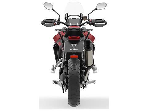 2025 Triumph Tiger 900 GT in Enfield, Connecticut - Photo 8