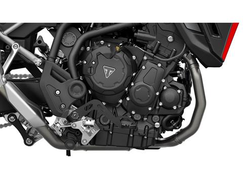 2025 Triumph Tiger 900 GT in Enfield, Connecticut - Photo 3