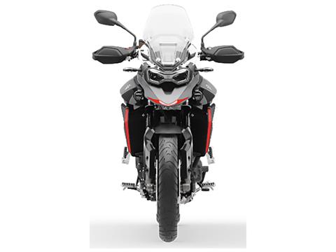 Triumph benelli price cheap