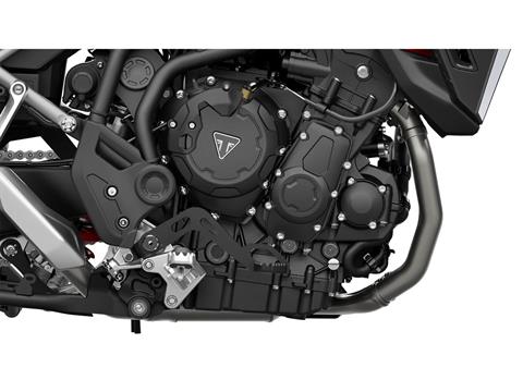 2025 Triumph Tiger 900 GT Pro in Foxboro, Massachusetts - Photo 2