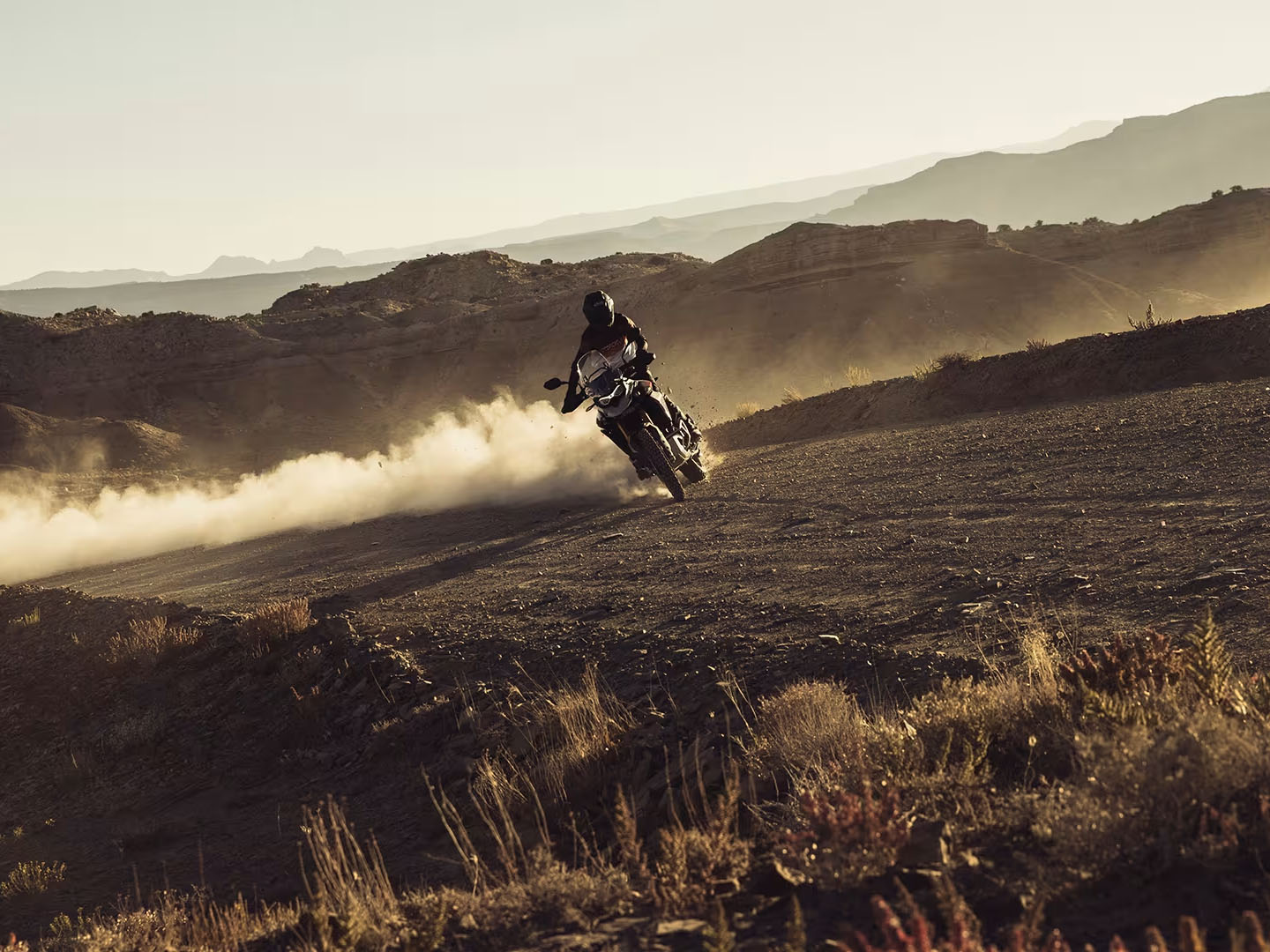 2025 Triumph Tiger 900 Rally Pro in Manchester, New Hampshire - Photo 16