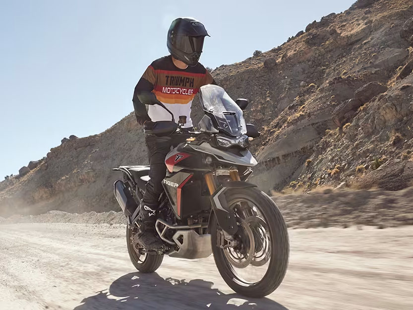 2025 Triumph Tiger 900 Rally Pro in Manchester, New Hampshire - Photo 20