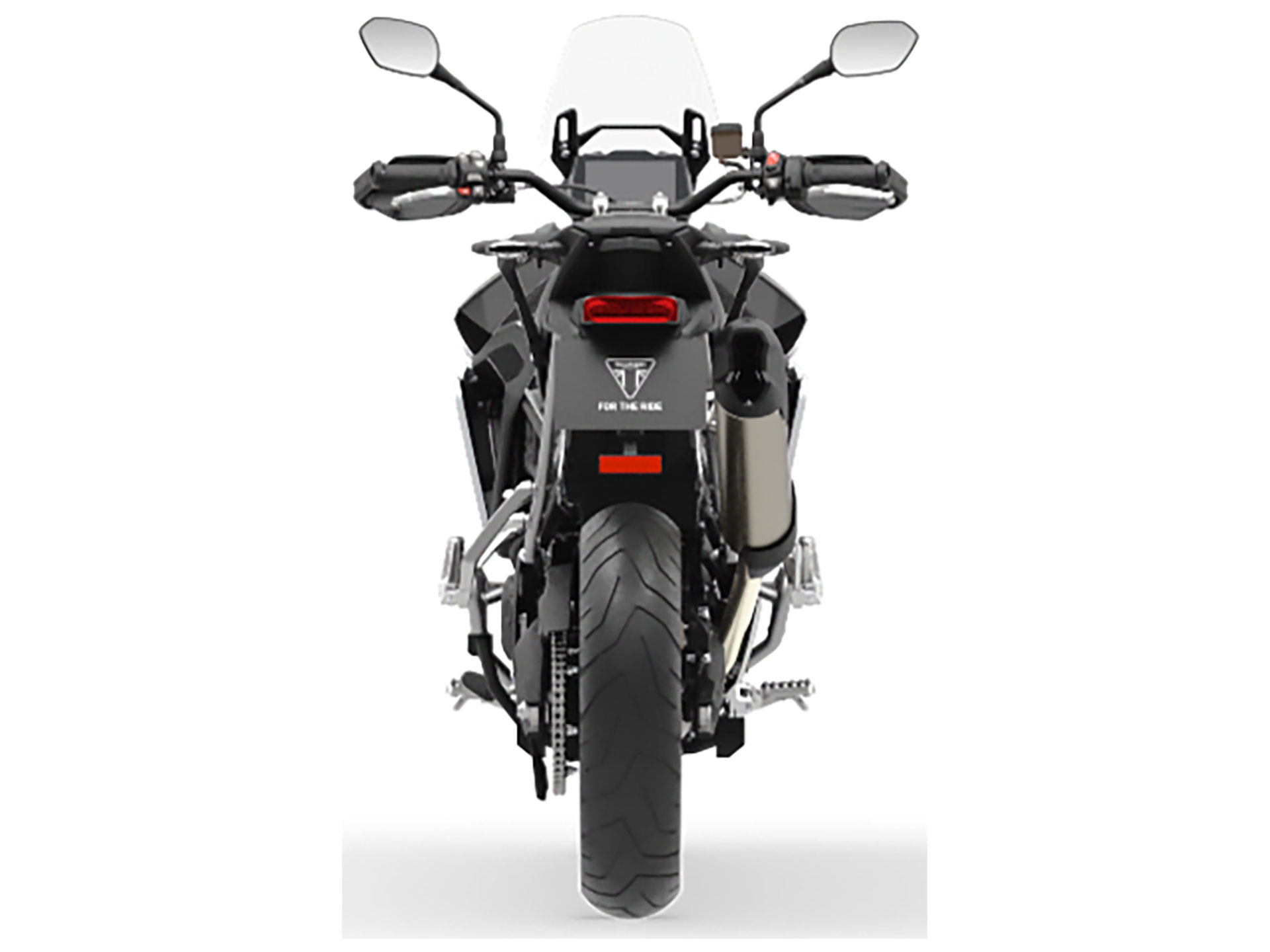 2025 Triumph Tiger 900 Rally Pro in Foxboro, Massachusetts - Photo 8