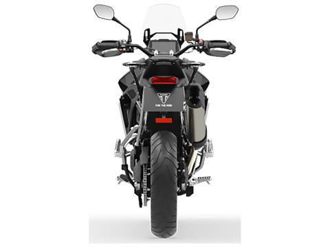 2025 Triumph Tiger 900 Rally Pro in Foxboro, Massachusetts - Photo 8