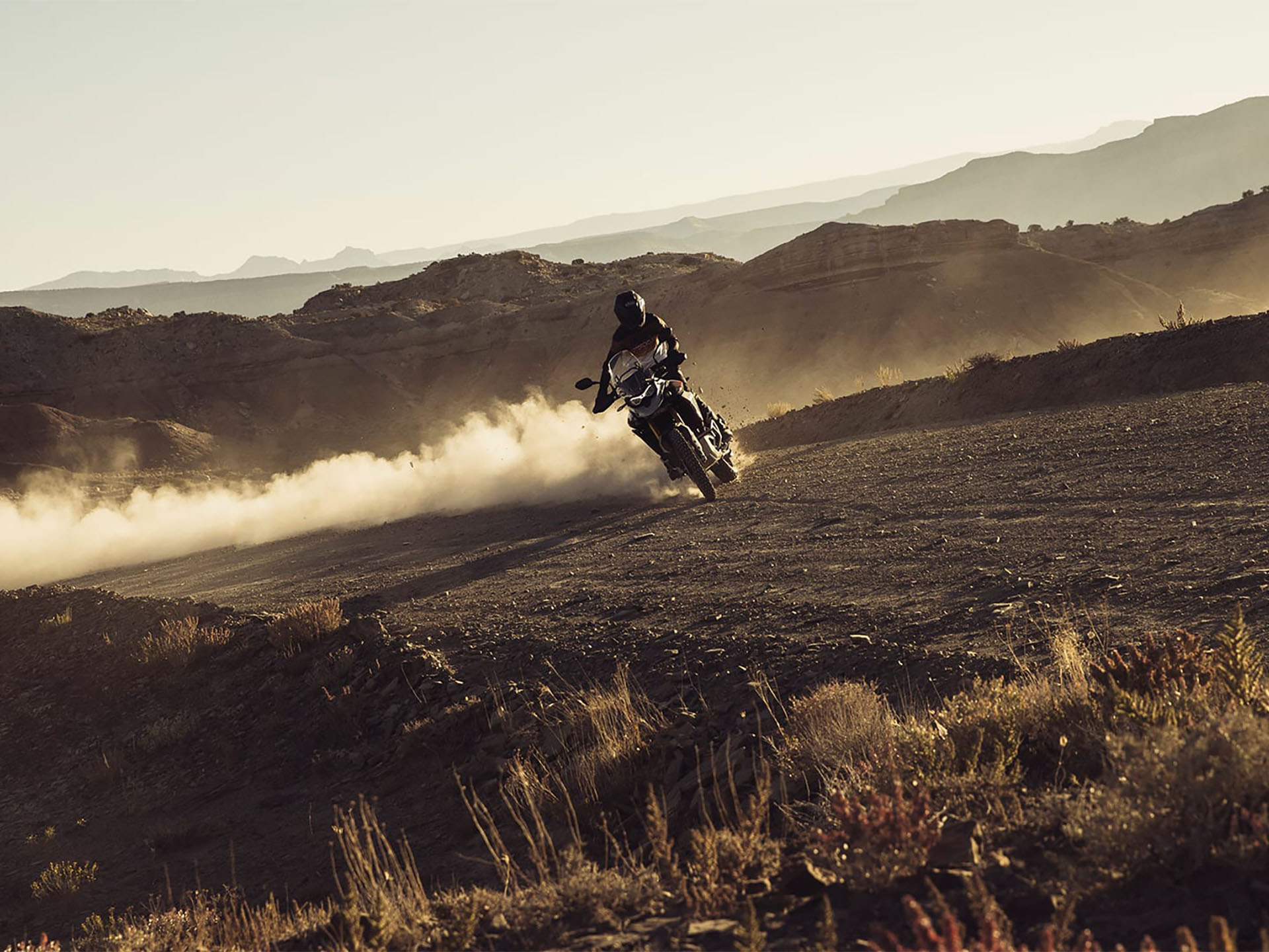 2025 Triumph Tiger 900 Rally Pro in Enfield, Connecticut - Photo 15