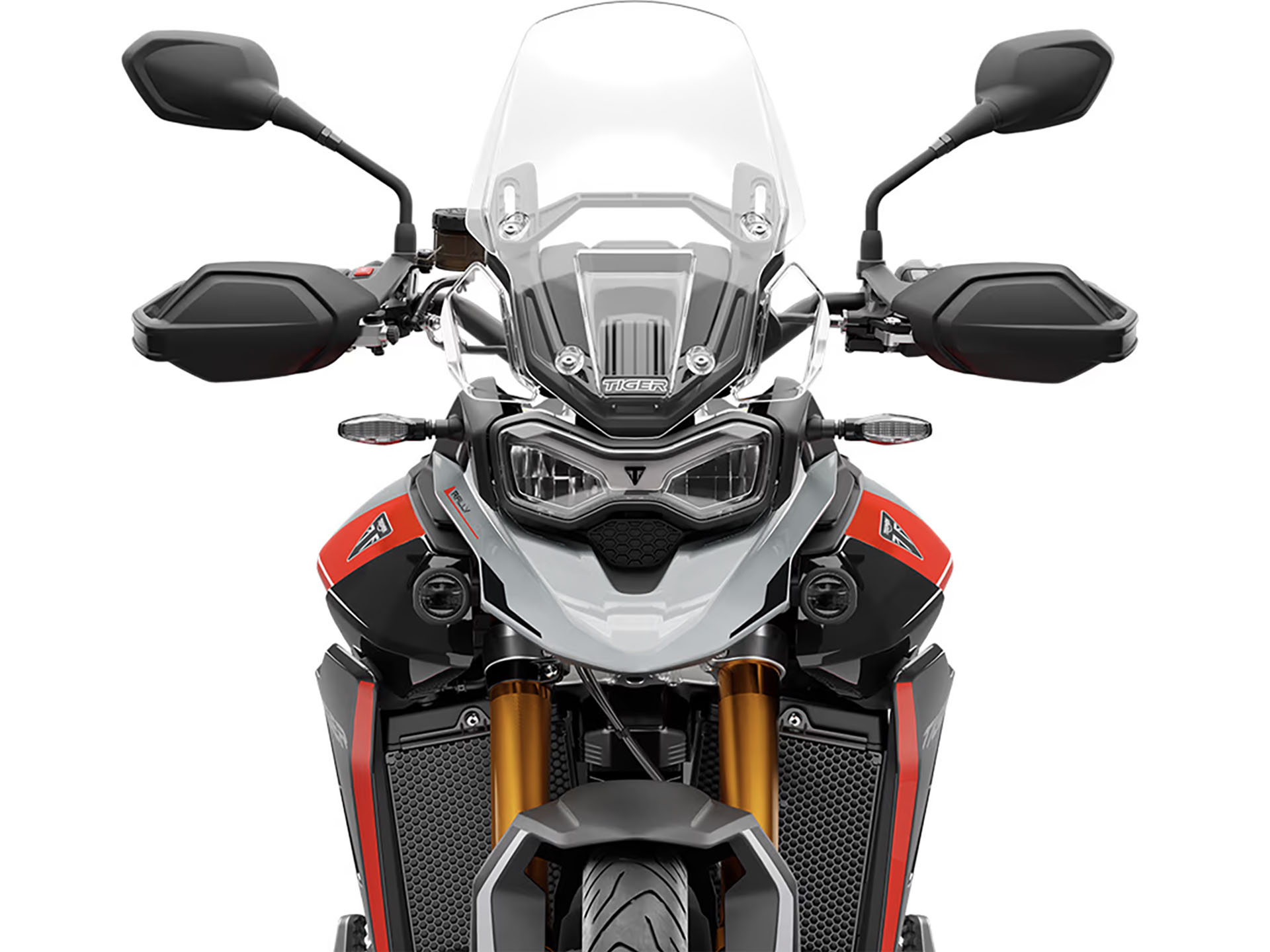 2025 Triumph Tiger 900 Rally Pro in Enfield, Connecticut - Photo 11