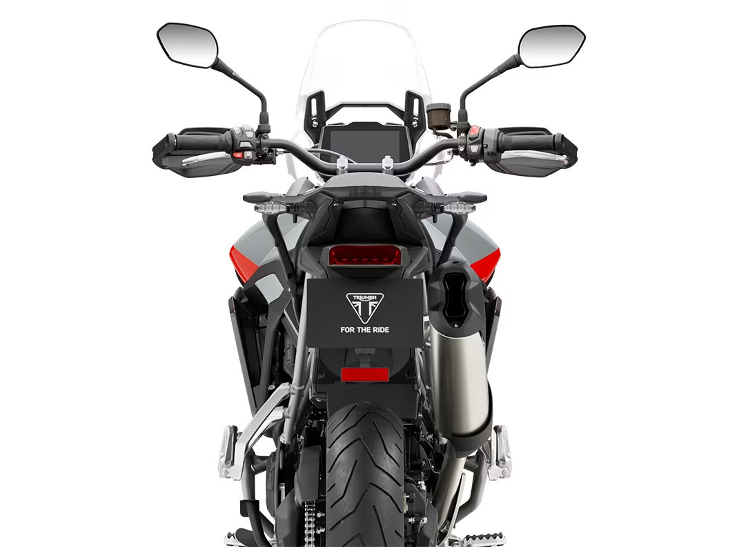 2025 Triumph Tiger 900 Rally Pro in Foxboro, Massachusetts - Photo 12