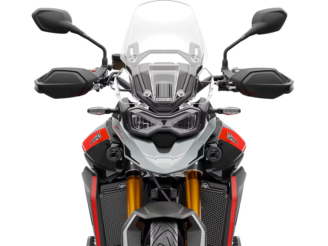 2025 Triumph Tiger 900 Rally Pro in Foxboro, Massachusetts - Photo 13