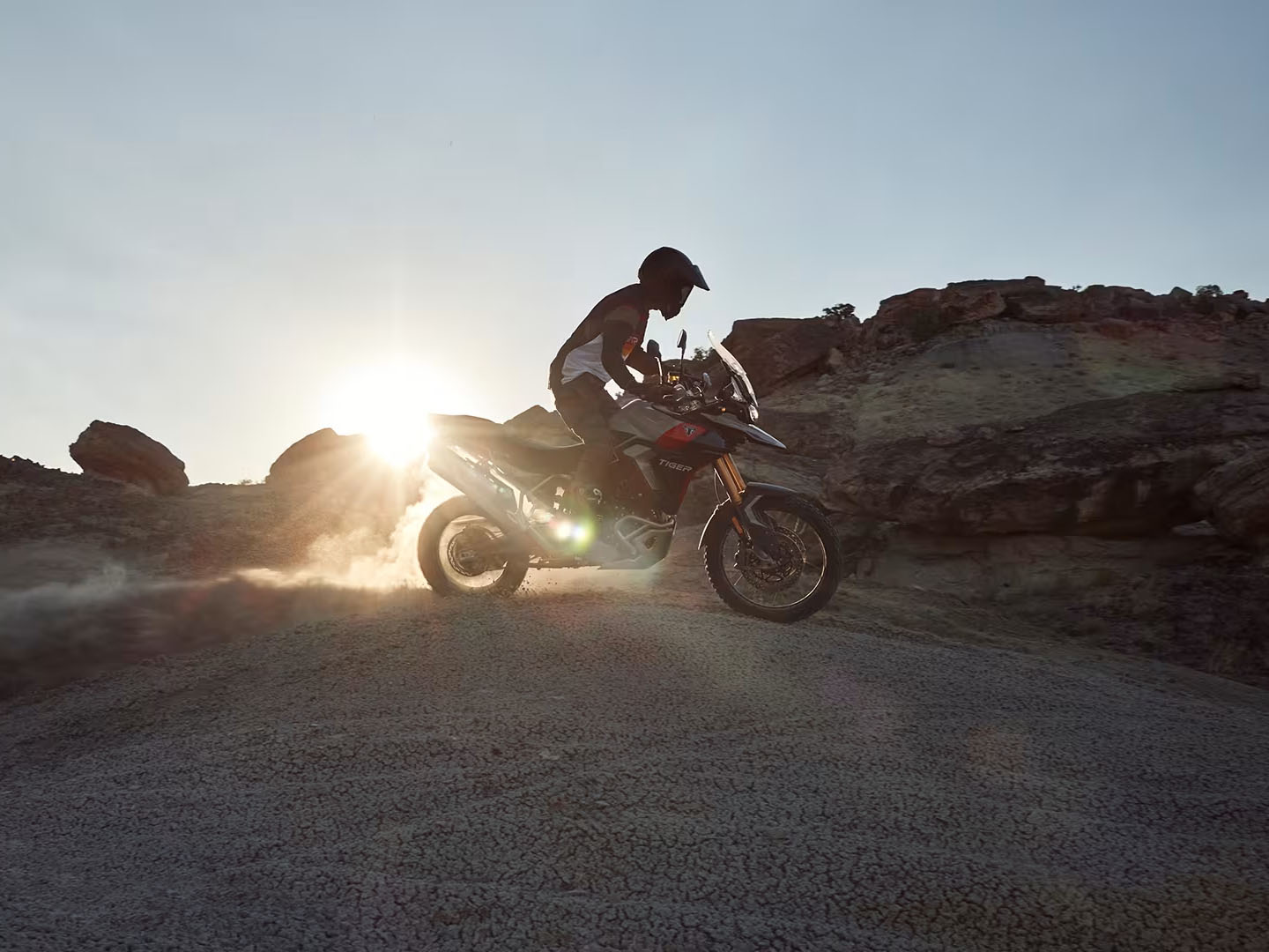 2025 Triumph Tiger 900 Rally Pro in Foxboro, Massachusetts - Photo 14