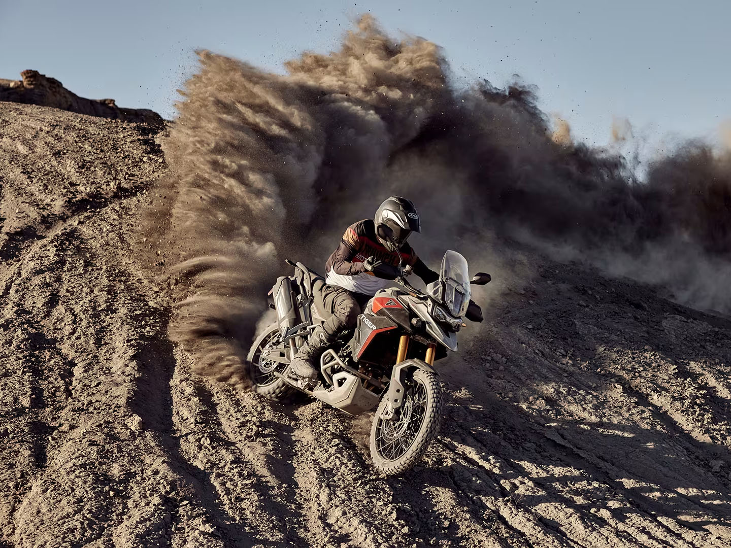 2025 Triumph Tiger 900 Rally Pro in Foxboro, Massachusetts - Photo 15