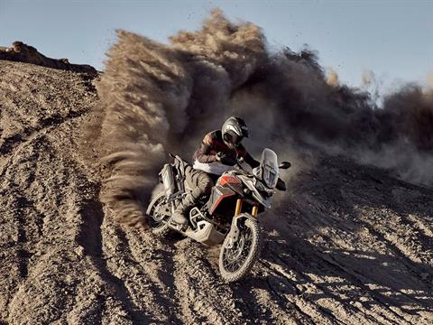 2025 Triumph Tiger 900 Rally Pro in Foxboro, Massachusetts - Photo 15