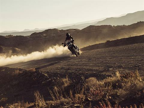 2025 Triumph Tiger 900 Rally Pro in Foxboro, Massachusetts - Photo 16