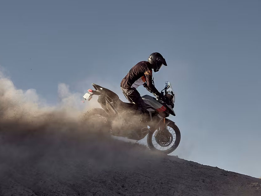 2025 Triumph Tiger 900 Rally Pro in Foxboro, Massachusetts - Photo 17