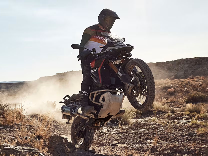 2025 Triumph Tiger 900 Rally Pro in Foxboro, Massachusetts - Photo 18