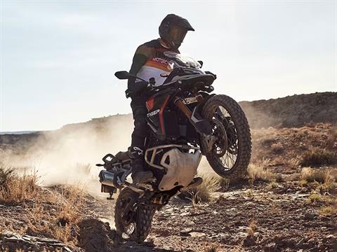 2025 Triumph Tiger 900 Rally Pro in Foxboro, Massachusetts - Photo 18