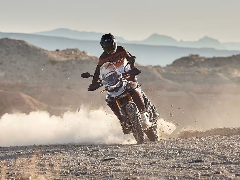 2025 Triumph Tiger 900 Rally Pro in Foxboro, Massachusetts - Photo 19