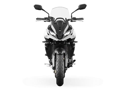 Tiger 200 bike 2025