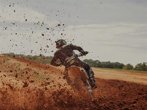 2025 Triumph TF 250-X in Enfield, Connecticut - Photo 13