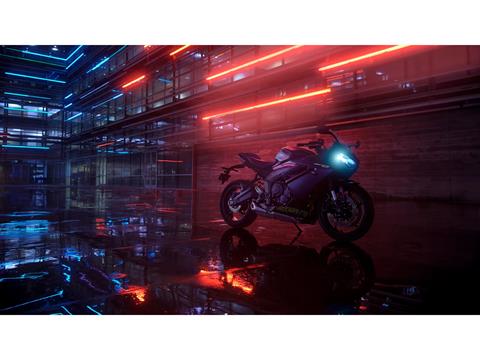 2025 Triumph Daytona 660 in Foxboro, Massachusetts - Photo 3