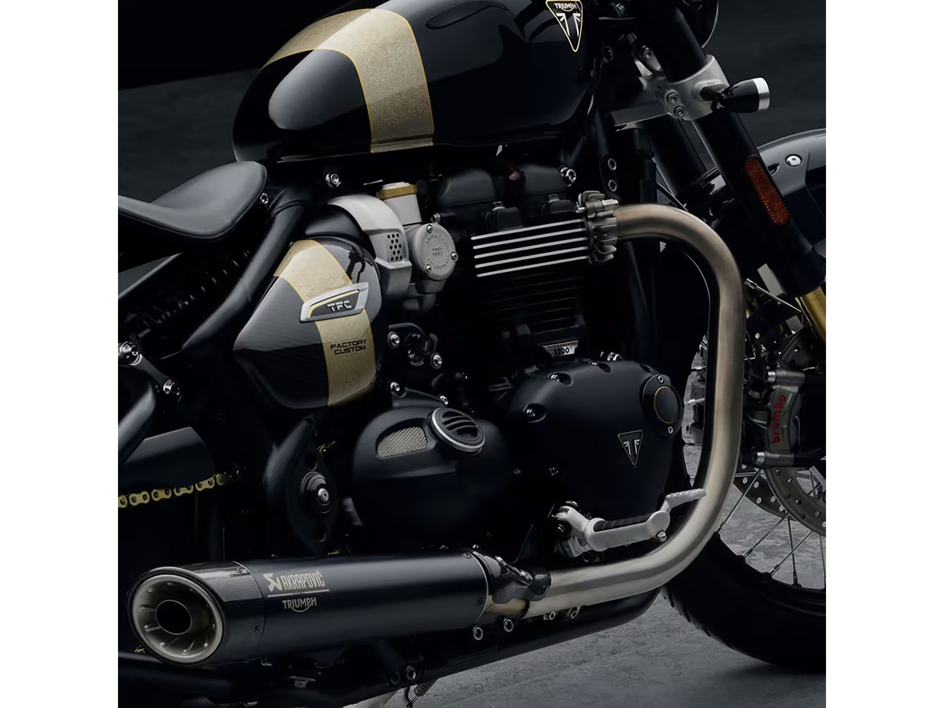 Triumph factory custom 2025