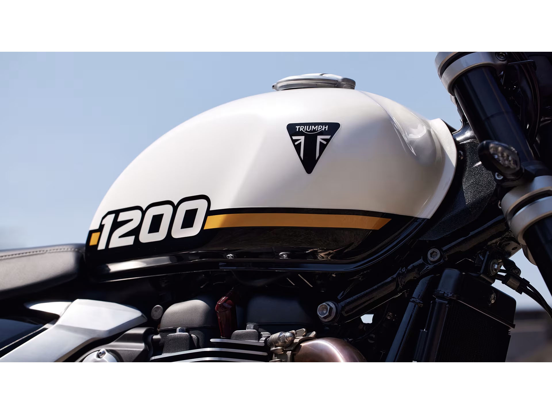 2025 Triumph Speed Twin 1200 in Foxboro, Massachusetts - Photo 4