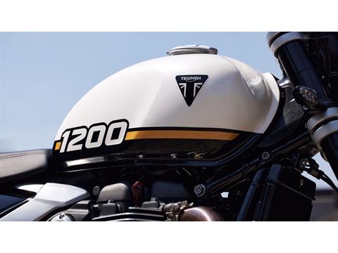 2025 Triumph Speed Twin 1200 in Foxboro, Massachusetts - Photo 4