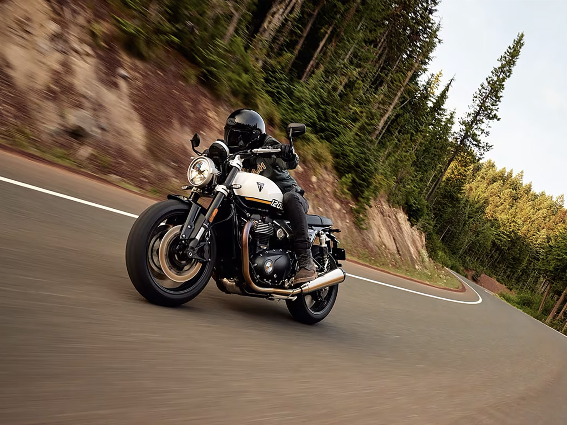 2025 Triumph Speed Twin 1200 in Foxboro, Massachusetts - Photo 7