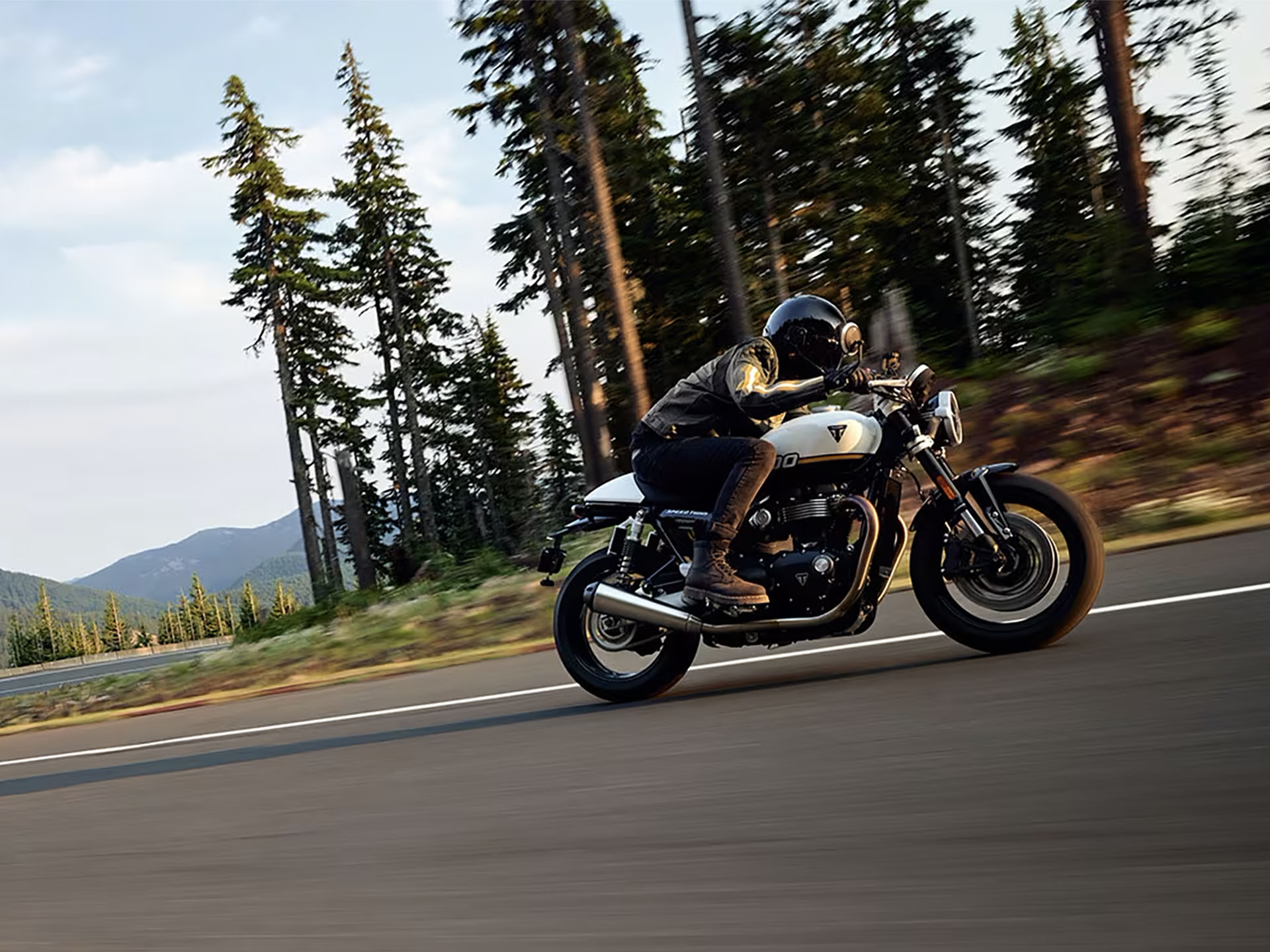 2025 Triumph Speed Twin 1200 in Foxboro, Massachusetts - Photo 10