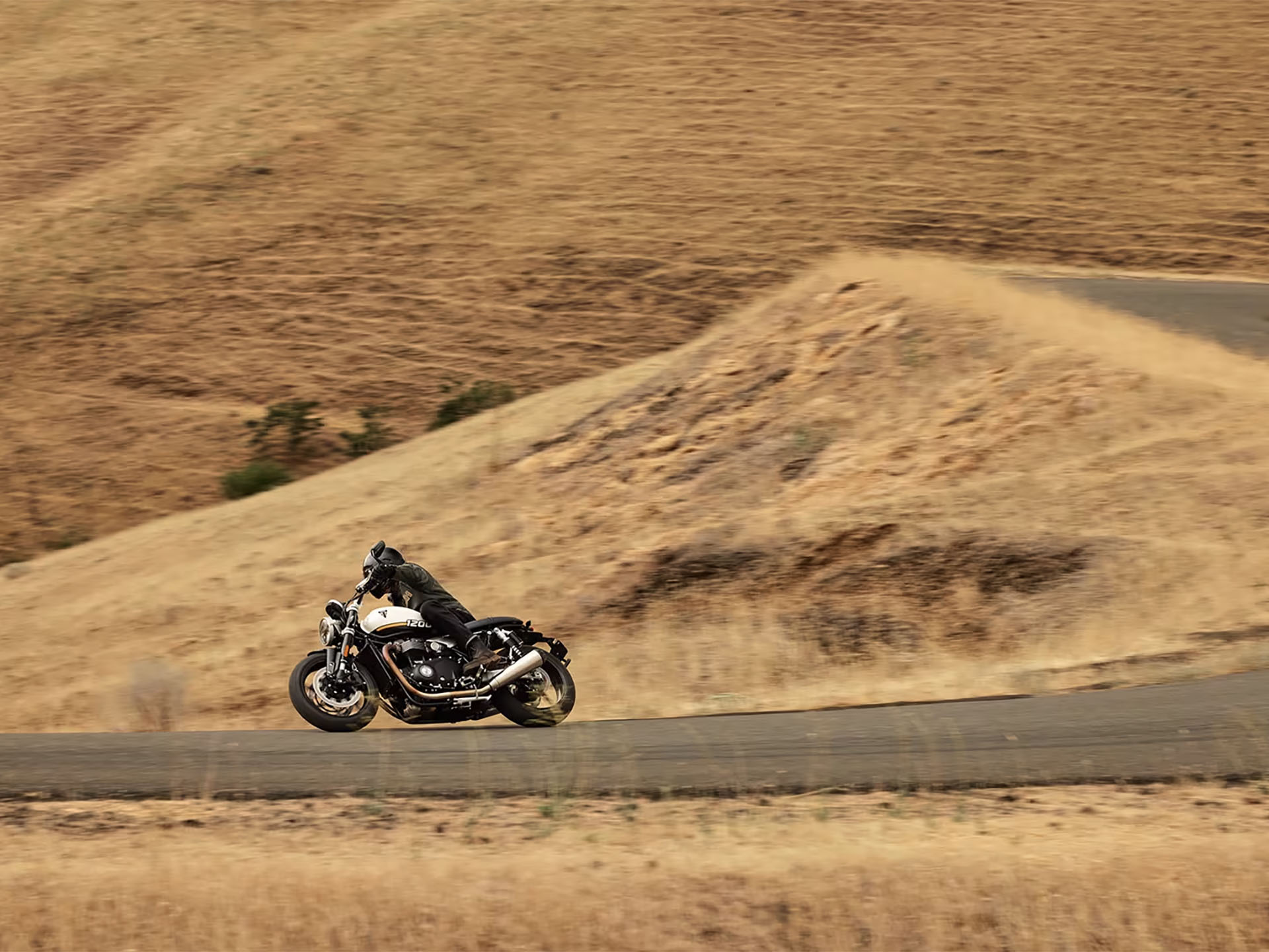 2025 Triumph Speed Twin 1200 in Foxboro, Massachusetts - Photo 11