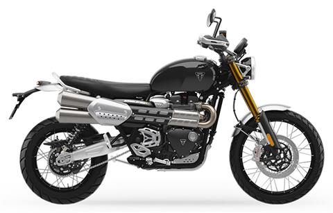 2026 Triumph Scrambler 1200 XE in Belle Plaine, Minnesota