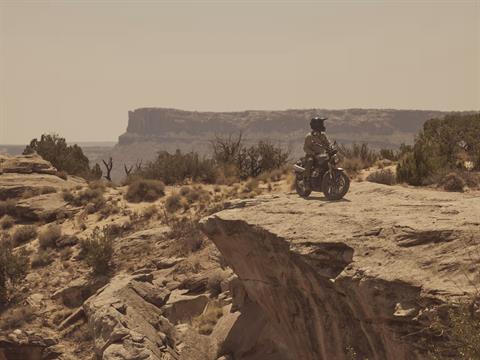 2026 Triumph Scrambler 900 in Belle Plaine, Minnesota - Photo 12
