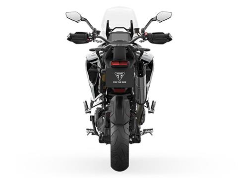 2026 Triumph Tiger 1200 Alpine Edition in Belle Plaine, Minnesota - Photo 8