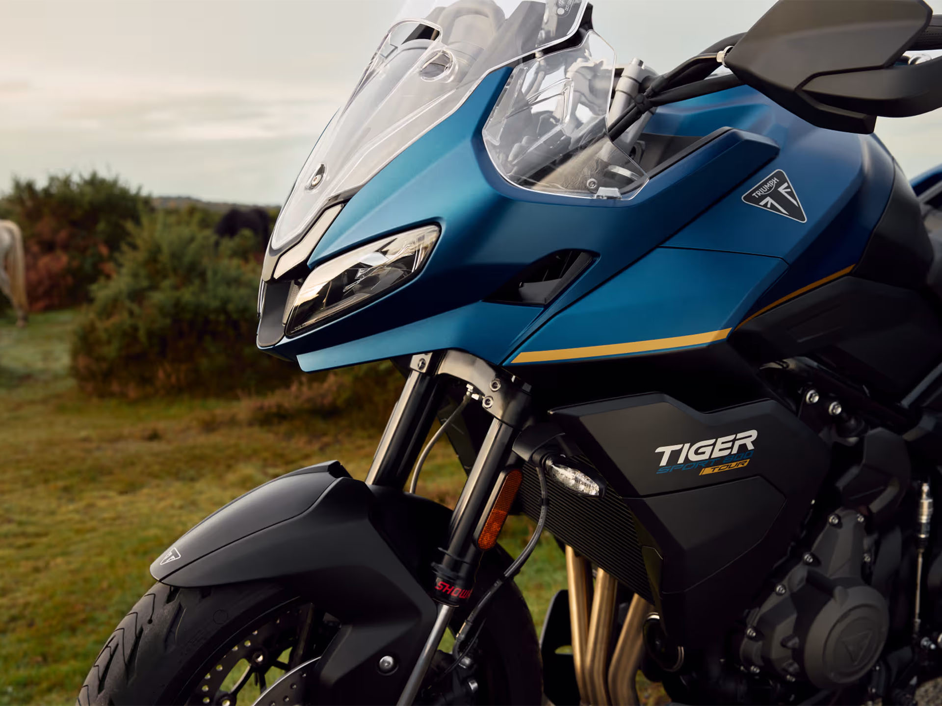 2026 Triumph Tiger Sport 800 Tour in Belle Plaine, Minnesota - Photo 9