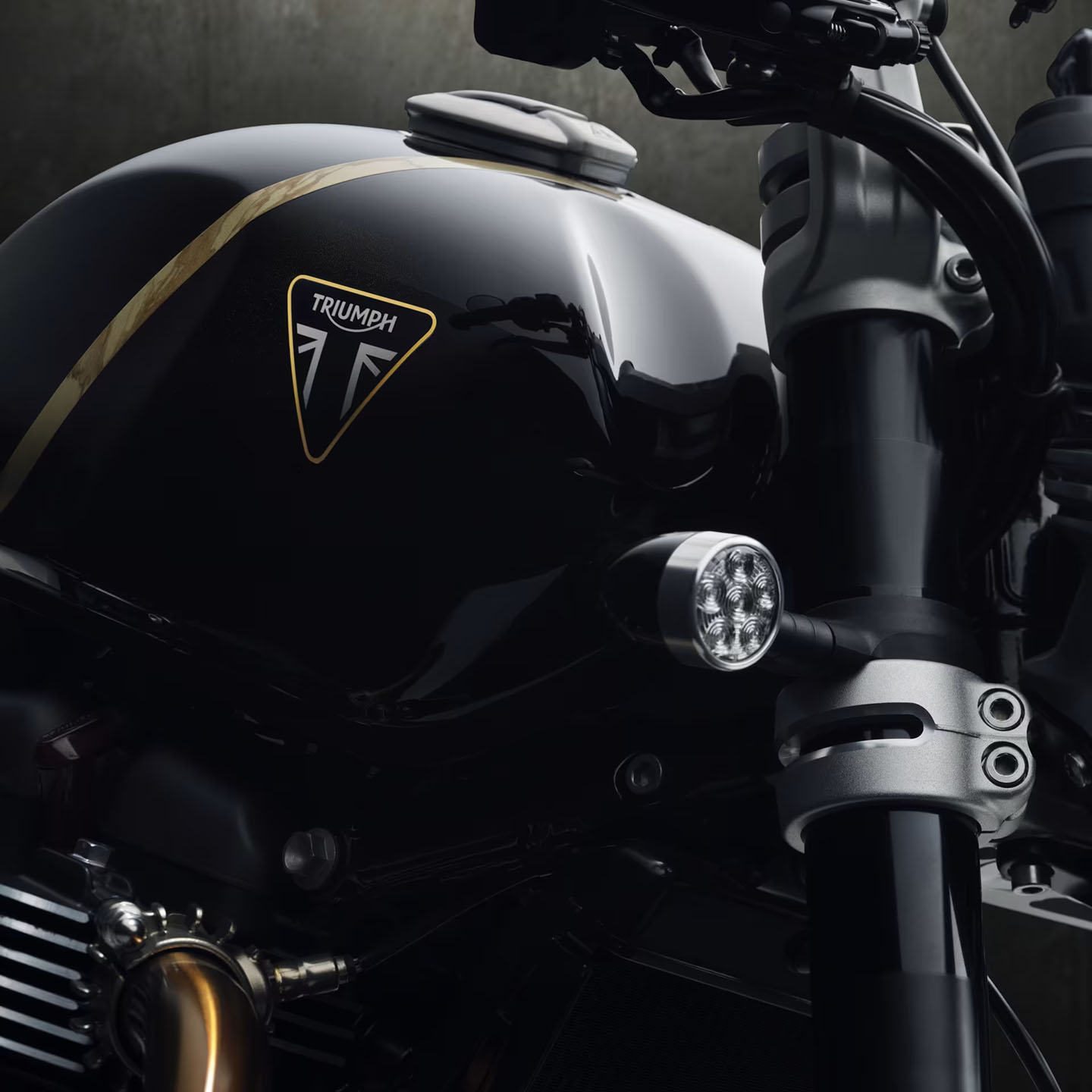 New 2027 Triumph Speed Twin 1200 TFC Obsidian Gold | Motorcycles