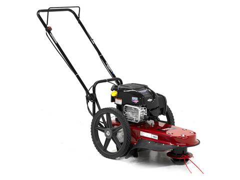 Toro 22 in. Briggs & Stratton String Mower 163 cc in Martinsville, Indiana