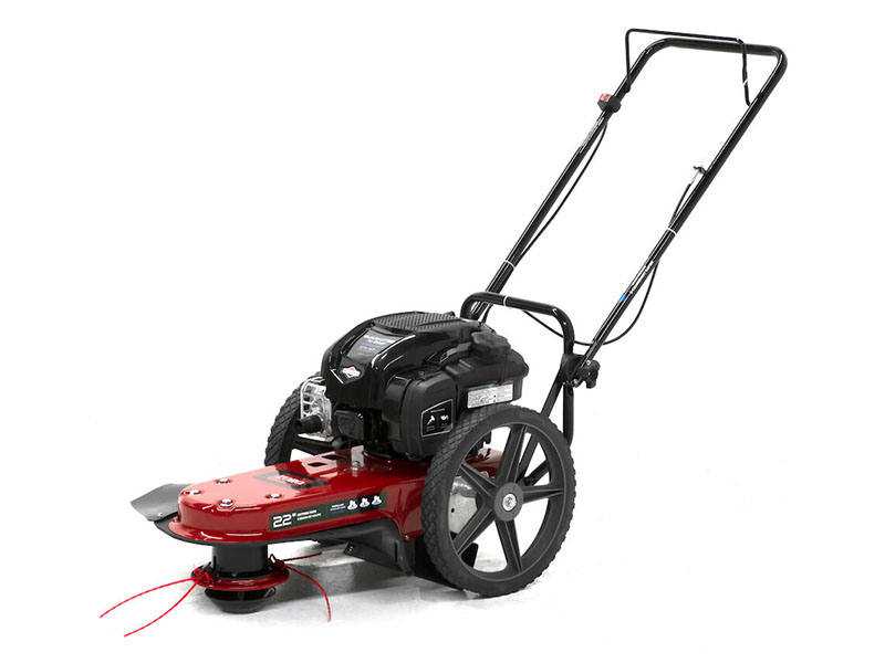 Toro 22 in. Briggs & Stratton String Mower 163 cc in Mio, Michigan - Photo 2