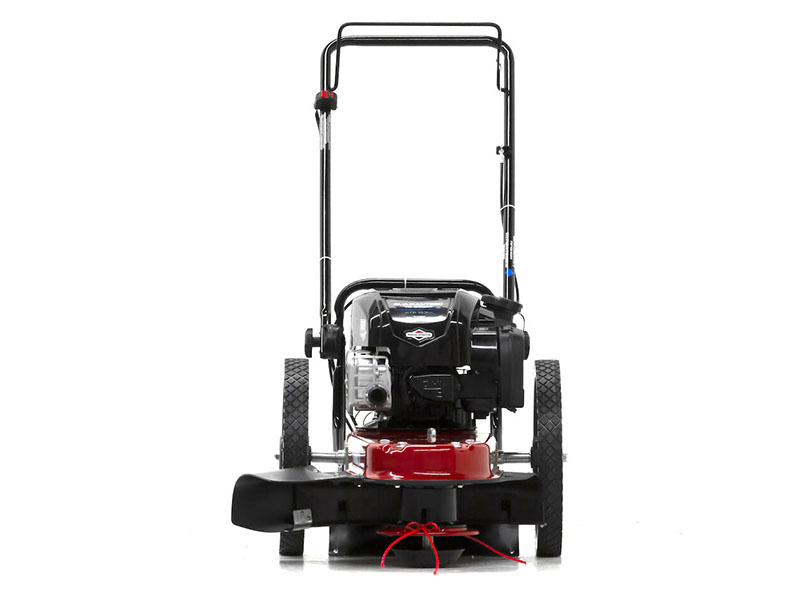 Toro 22 in. Briggs & Stratton String Mower 163 cc in Mio, Michigan - Photo 3