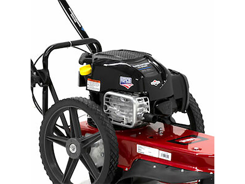 Toro 22 in. Briggs & Stratton String Mower 163 cc in Mio, Michigan - Photo 4