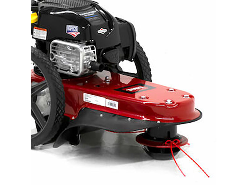 Toro 22 in. Briggs & Stratton String Mower 163 cc in Mio, Michigan - Photo 6