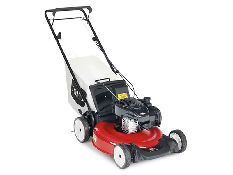 Toro Recycler 21 in. Briggs & Stratton 140 cc Self-Propel Variable Speed in Mio, Michigan - Photo 1