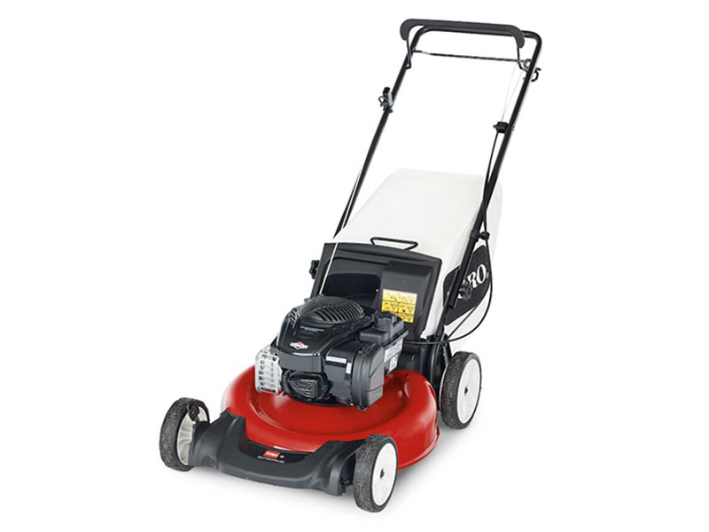 Toro Recycler 21 in. Briggs & Stratton 140 cc Self-Propel Variable Speed in Mio, Michigan - Photo 2