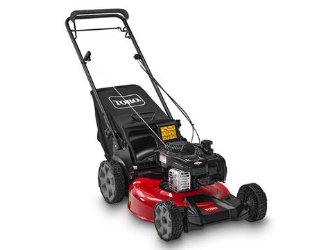 Toro Recycler 21 in. Briggs & Stratton Ex 140 cc Self-Propel in Mio, Michigan